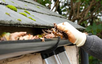 gutter cleaning Westbury On Severn, Gloucestershire