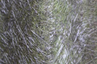 Westbury On Severn fibreglass roof work